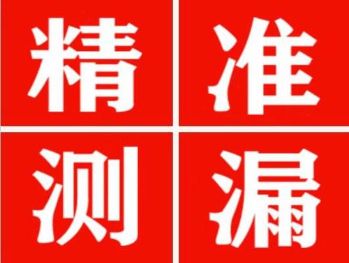 怀集尚嘉漏水精准查找